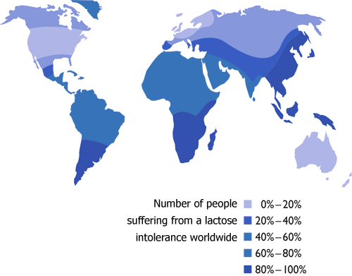 lactase-milk-sugar-enzyme-intolerance-lactose-intolerance-help-500x391